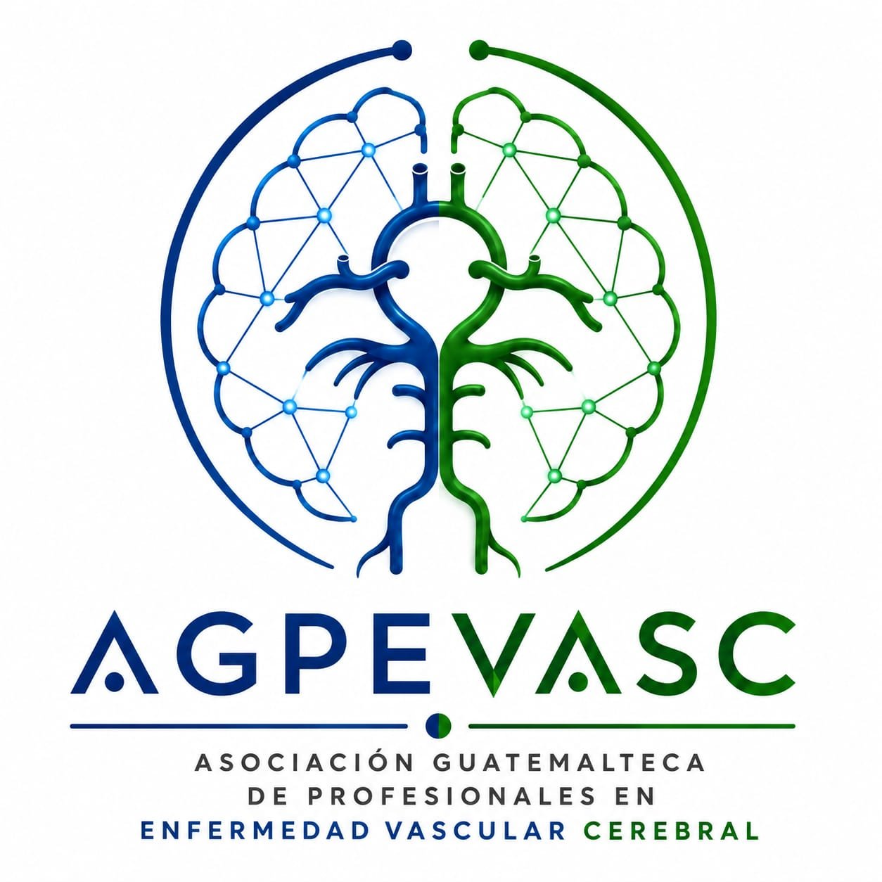 Logotipo de AGPEVASC en sus colores originales